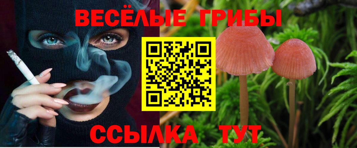 Бирск  Псилоцибиновые грибы мухоморы  Вход с VPN 