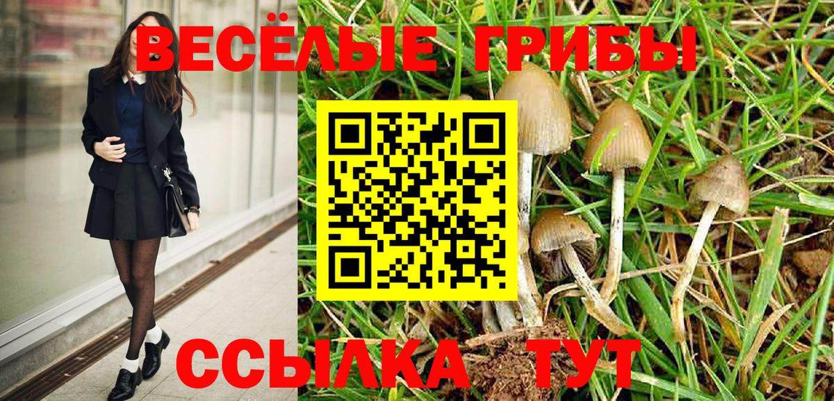 где купить наркоту  Бирск  Галлюциногенные грибы Cubensis 