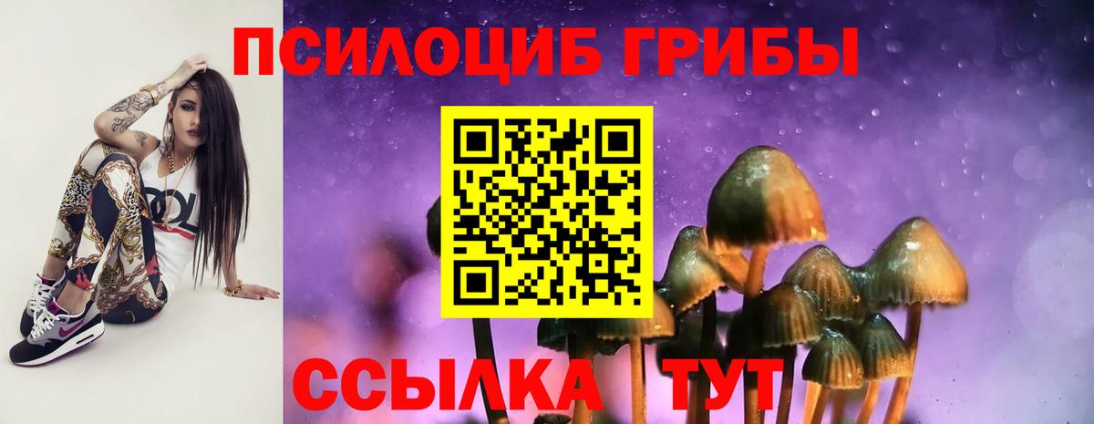 Галлюциногенные грибы Magic Shrooms Бирск