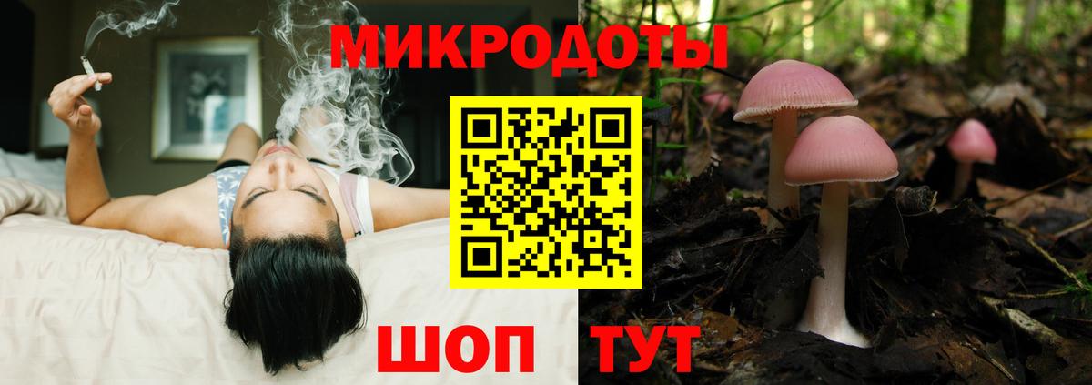 Псилоцибиновые грибы Psilocybe Бирск